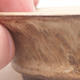 Ceramic bonsai bowl 10 x 10 x 3 cm, beige color - 2/4