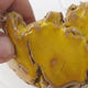 Ceramic shell 9 x 9 x 7 cm, color yellow - 2/3