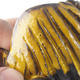 Ceramic shell 9 x 8 x 6 cm, color yellow - 2/3