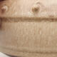 Ceramic bonsai bowl 17 x 17 x 6 cm, beige color - 2/3