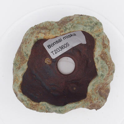 Ceramic shell 9 x 9 x 5 cm, color brown-green - 2