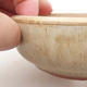 Ceramic bonsai bowl 11.5 x 11.5 x 4 cm, beige color - 2/3