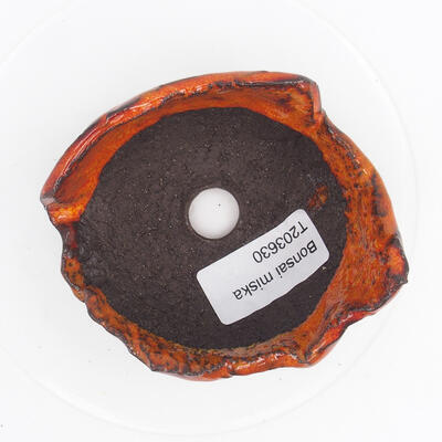 Ceramic shell 9 x 8 x 5 cm, color orange - 2