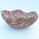 Ceramic Shell 12 x 12 x 5 cm, brown-yellow color - 2/3