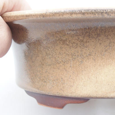 Ceramic bonsai bowl 21 x 17 x 6 cm, color beige - 2