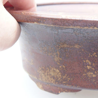 Ceramic bonsai bowl 21 x 17 x 6 cm, brick color - 2