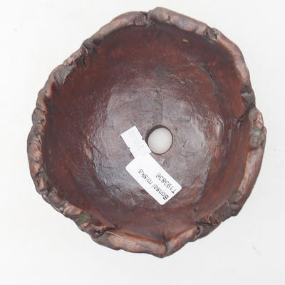 Ceramic Shell 11 x 11 x 9 cm, gray color - 2