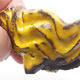 Ceramic Shell 7 x 7 x 4,5 cm, yellow color - 2/3
