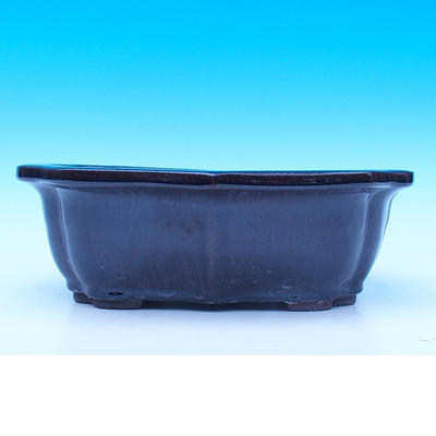 Bonsai bowl 22 x 17 x 7 cm - 2