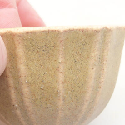 Mini bonsai bowl 5 x 5 x 3 cm, beige color - 2