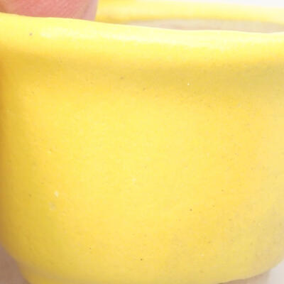 Mini bonsai bowl 3.5 x 3.5 x 2.5 cm, yellow color - 2