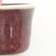 Mini bonsai bowl 3 x 3 x 2 cm, color red - 2/3