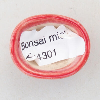 Mini bonsai bowl 3 x 2.5 x 1.5 cm, color red - 2