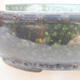 Ceramic bonsai bowl 17.5 x 17.5 x 5 cm, color green - 2/3