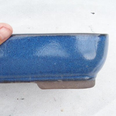 Bonsai bowl 30 x 21 x 7 cm, color blue - 2