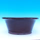 Bonsai bowl 47 x 47 x 21 cm - 2/7