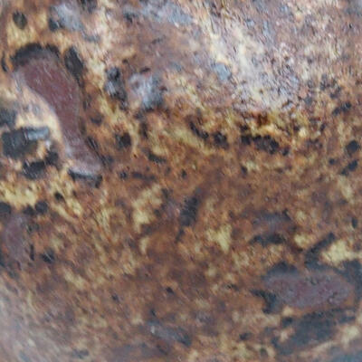 Ceramic shell 6 x 6.5 x 4 cm, color brown - 2