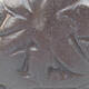 Ceramic shell 8.5 x 8 x 4 cm, color brown - 2/3