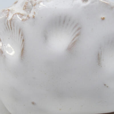 Ceramic Shell 7 x 6.5 x 4.5 cm, color white - 2
