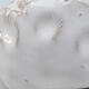 Ceramic Shell 7 x 6.5 x 4.5 cm, color white - 2/3