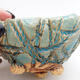 Ceramic shell 9.5 x 9 x 5.5 cm, color blue - 2/3