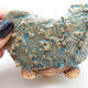 Ceramic shell 9.5 x 9 x 7 cm, color blue - 2/3