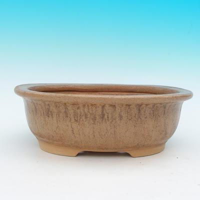 Bonsai ceramic bowl CEJ 48, dark brown - 2