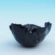 ceramic shell T05290 - 2/3