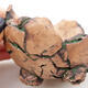 Ceramic shell 8 x 7.5 x 7 cm, color natural green - 2/3