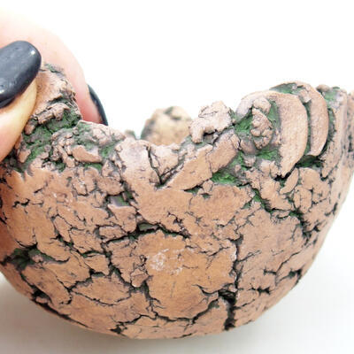 Ceramic shell 8 x 8 x 6.5 cm, color natural green - 2