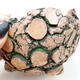 Ceramic shell 8 x 9 x 5.5 cm, color natural green - 2/3