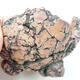 Ceramic shell 7.5 x 8 x 6 cm, color natural green - 2/3