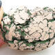 Ceramic Shell 9 x 8.5 x 6 cm, color natural green - 2/3