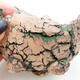 Ceramic shell 9.5 x 8 x 7 cm, color natural green - 2/3