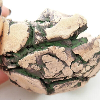 Ceramic shell 9 x 8.5 x 7.5 cm, color natural green - 2