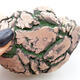Ceramic Shell 9 x 8.5 x 6.5 cm, color natural green - 2/3