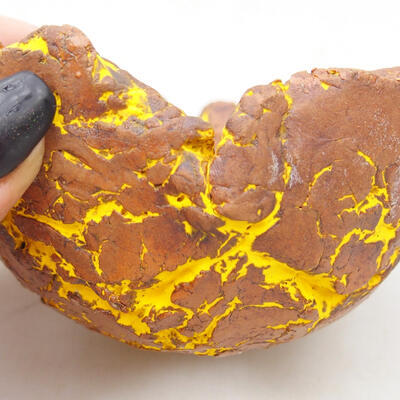 Ceramic shell 8.5 x 8 x 5 cm, color natural yellow - 2