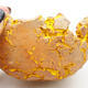 Ceramic Shell 9 x 7.5 x 5 cm, color natural yellow - 2/3
