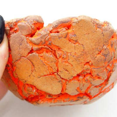 Ceramic Shell 9 x 8 x 5 cm, color natural orange - 2