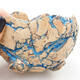 Ceramic Shell 9 x 8.5 x 7 cm, color natural blue - 2/3