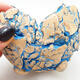 Ceramic shell 9.5 x 9.5 x 6.5 cm, color natural blue - 2/3