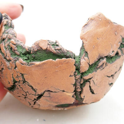 Ceramic shell 8.5 x 7.5 x 6.5 cm, color natural green - 2