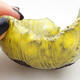 Ceramic shell 7.5 x 7.5 x 6 cm, color yellow - 2/3