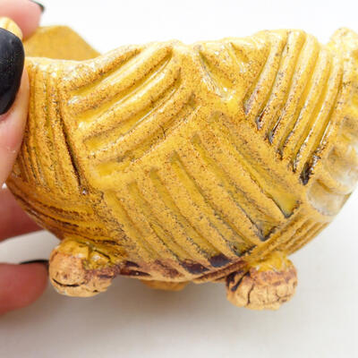 Ceramic shell 8.5 x 8 x 7 cm, color yellow - 2