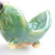 Ceramic Shell 9 x 8 x 7 cm, color green - 2/3