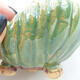 Ceramic shell 8.5 x 8.5 x 6 cm, color green - 2/3