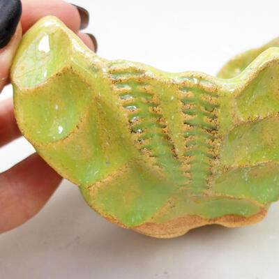 Ceramic shell 8.5 x 8.5 x 6 cm, color green - 2