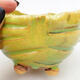 Ceramic Shell 9 x 9 x 6.5 cm, color green - 2/3