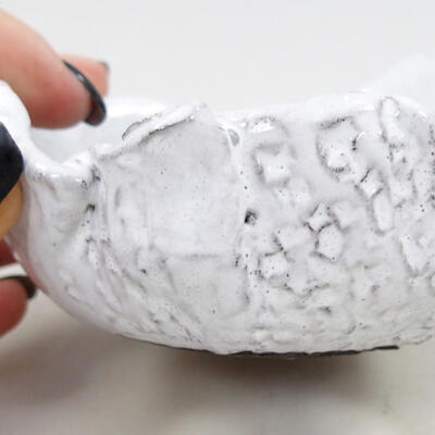 Ceramic Shell 9 x 8.5 x 5.5 cm, color white - 2