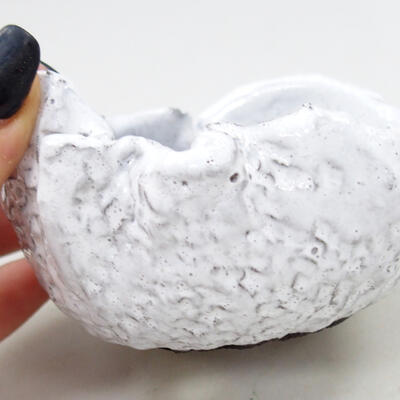 Ceramic shell 9.5 x 8 x 5 cm, color white - 2